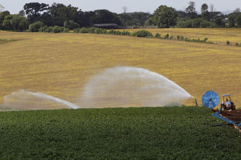 Agro – Com 7,8 mil projetos, Banco do Agricultor já liberou R$ 1 bilhão para produtores rurais