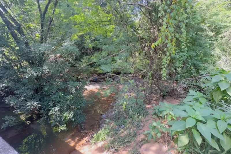 Umuarama – Corpo em decomposição é encontrado nos fundos do lago Aratimbó