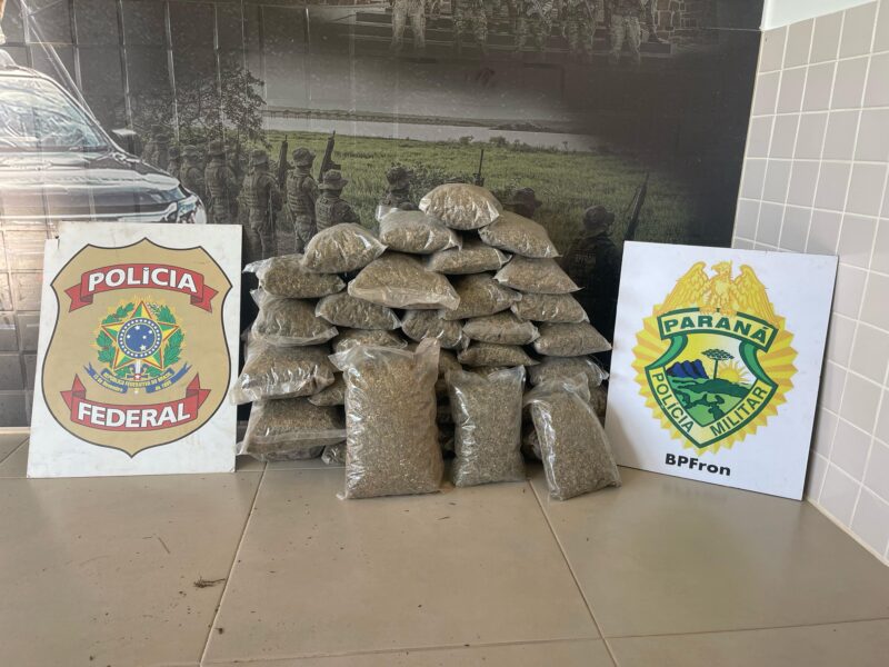 Guaíra – BPFron e Nepom apreendem quase 16 quilos de skunk