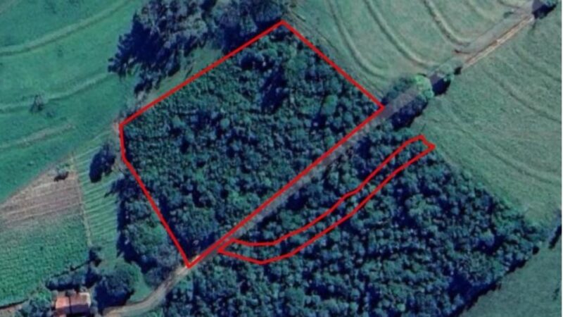 Região – Polícia identifica desmatamento em 1,22 hectares em Iporã