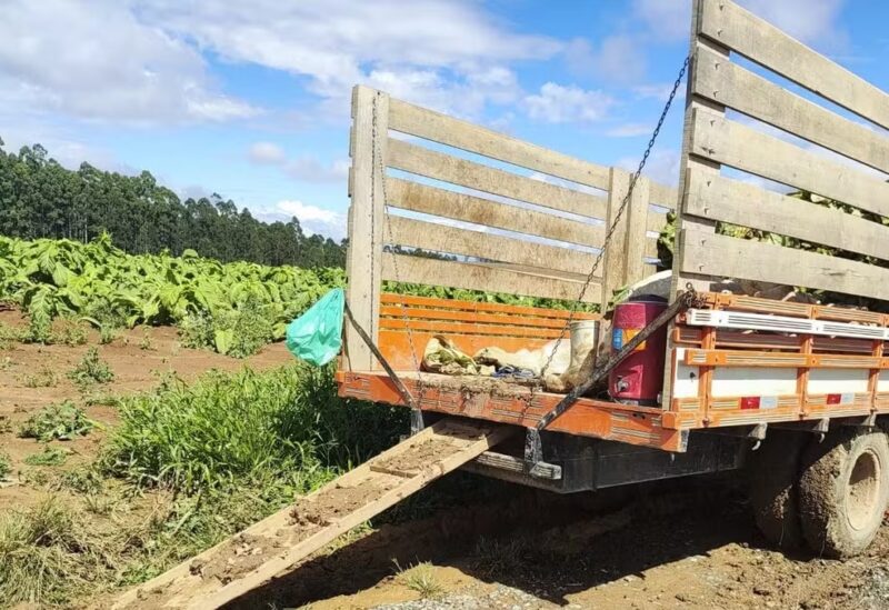 SC – Menina de 2 anos morre ao cair de caçamba e ser atropelada por trator