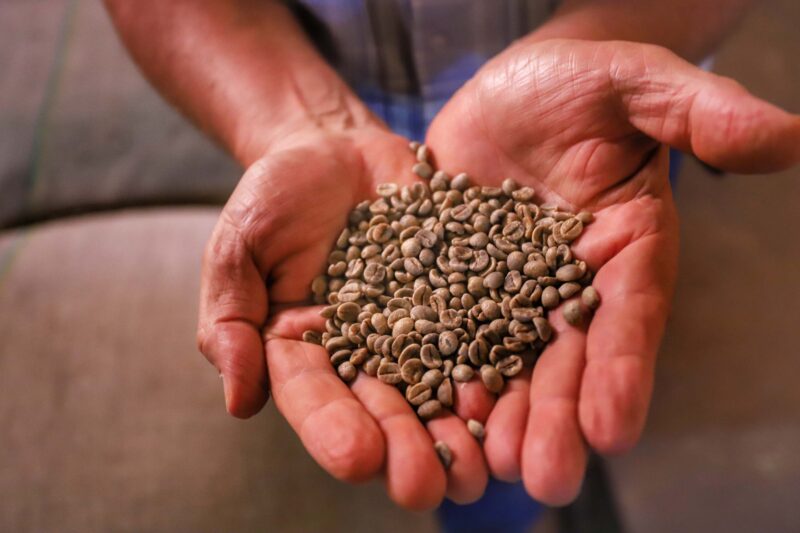 Comércio global: Paraná vendeu US$ 14,2 bilhões em alimentos e bebidas para 176 países em 2024