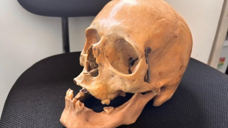 Santa Helena – Crânio humano é encontrado em armário de ex-coletor