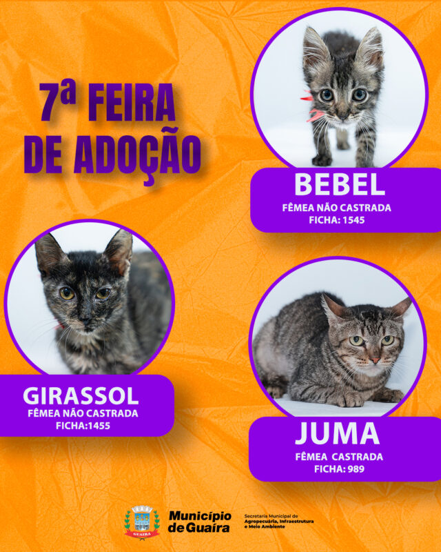 Guaíra – Município realiza a 7ª Feira Municipal de Adoção