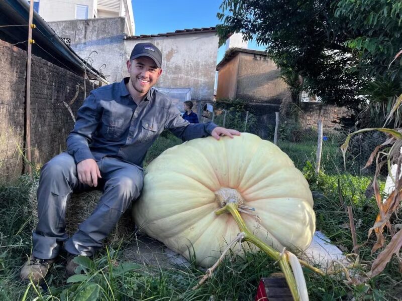 SC – Abóbora gigante de cerca de 300 kg é cultivada no quintal de casa