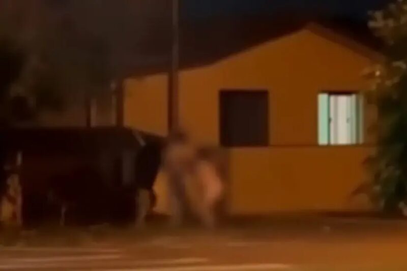 Paraná – Amante foge nua após ser flagrada por esposa em traição