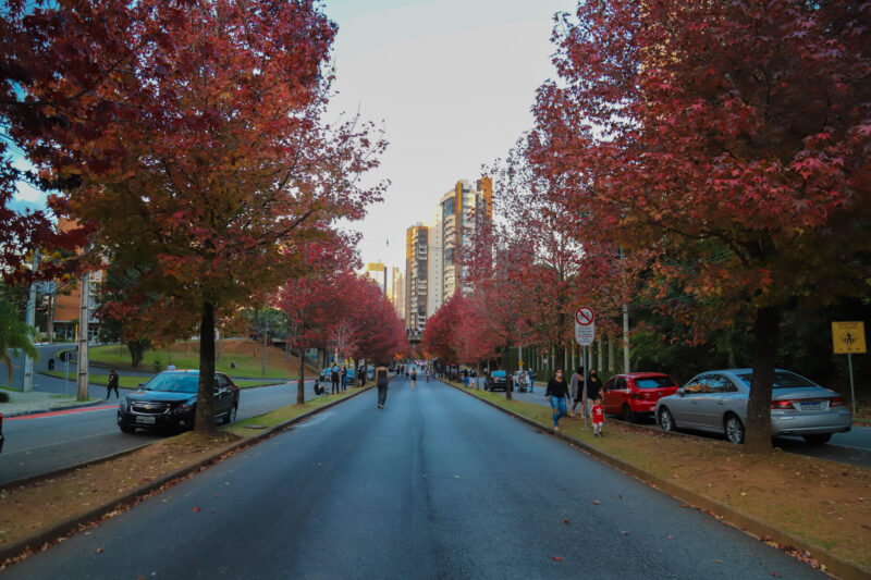Clima – Outono terá temperaturas mais amenas do que 2024 e chuva abaixo da média no Paraná