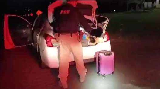 Região – Casal é preso pela PRF com 39,2 kg de maconha em rodovia