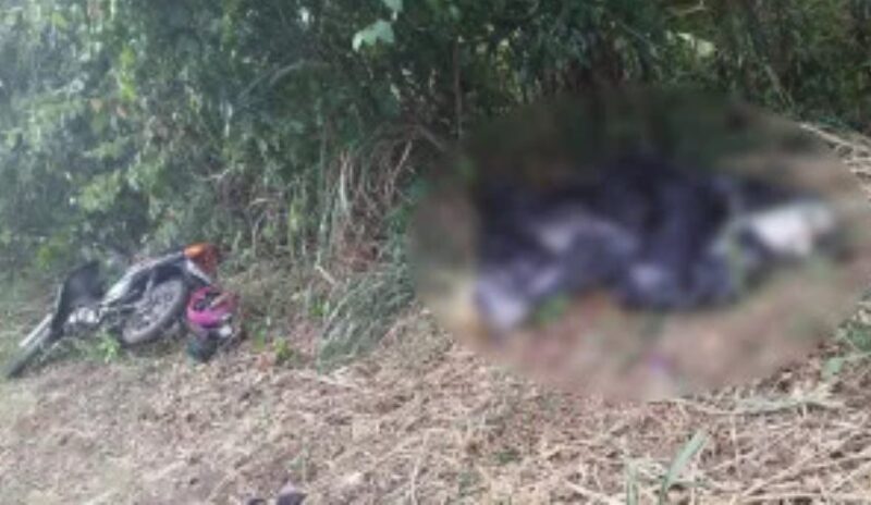 Medianeira – Motociclista morre após colidir em árvore