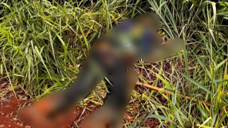 Santa Helena – Homem é encontrado sem vida em área de reserva