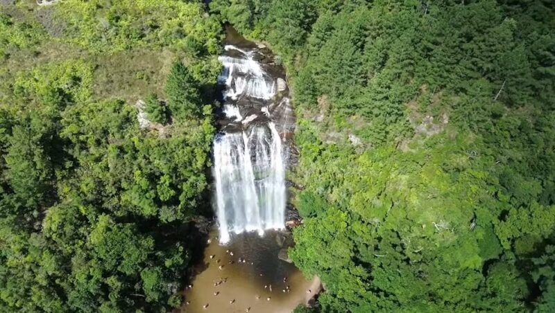 Campos Gerais – Jovem morre em cachoeira do Paraná após andar de costas para tirar fotos e cair na água
