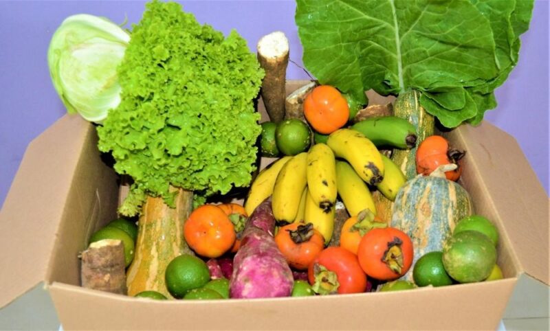 Proposta – Governo estuda baixar juros do Plano Safra para reduzir preço dos alimentos