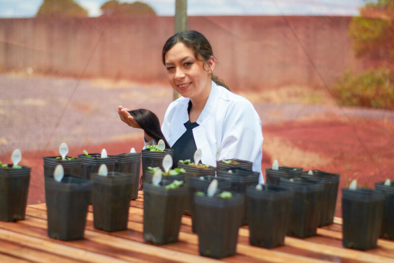 Educação – Pesquisa da Unioeste estuda como transformar cabelo humano em adubo