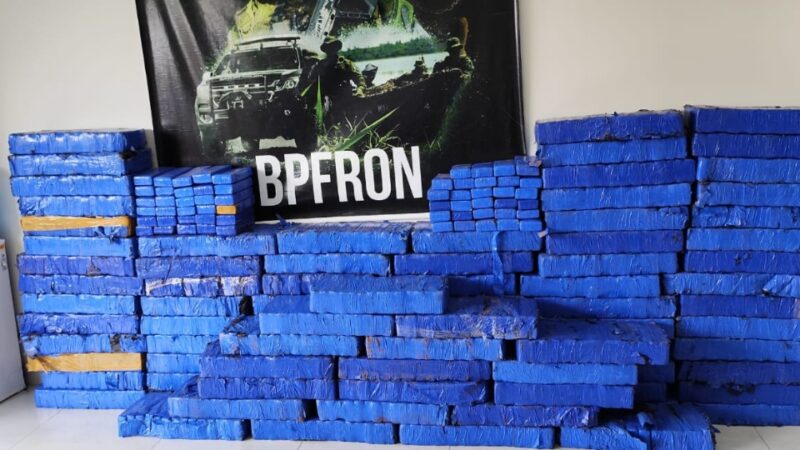 Francisco Alves – Quase 1,5 tonelada de maconha é apreendida em área de mata