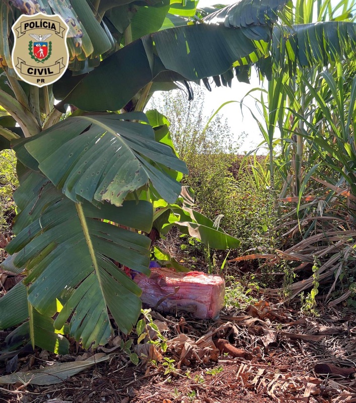 Guaíra – Após denúncia anônima Polícia Civil apreende drogas