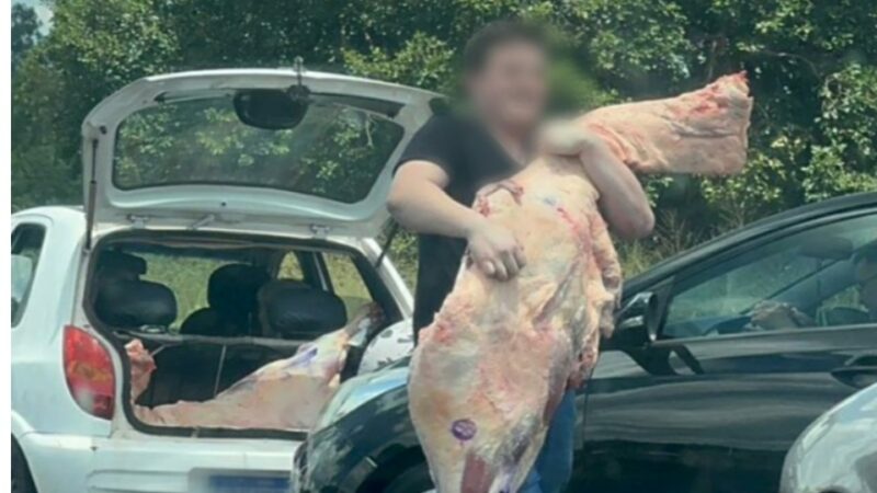Paraná – Pessoas ‘abraçando’ pedaços de carne em furto de carga: polícia identifica 5 suspeitos e 11 carros envolvidos no caso