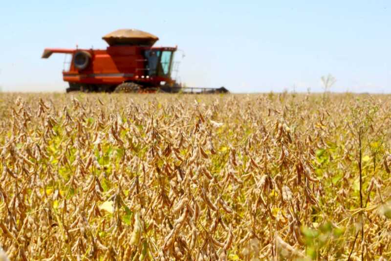 Economia – Produção da safra brasileira caiu 7,2% em 2024, estima IBGE