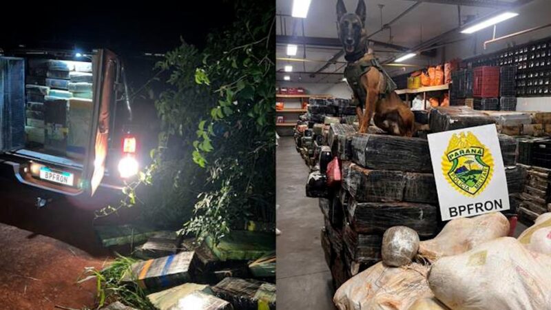 Santa Helena – Seis toneladas de maconha são apreendidas pelo BPFron