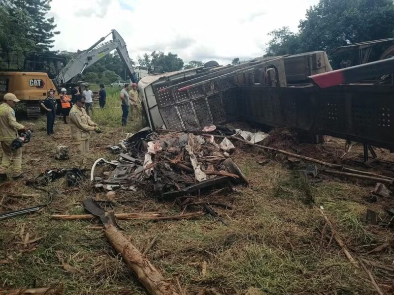 Paraná – Carro com três mortos é encontrado embaixo de carga de toras durante remoção do caminhão