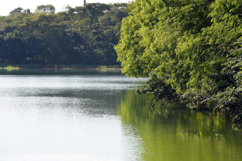 Paraná – Emissão para outorga do uso da água aumentou 42% em 2024, aponta IAT