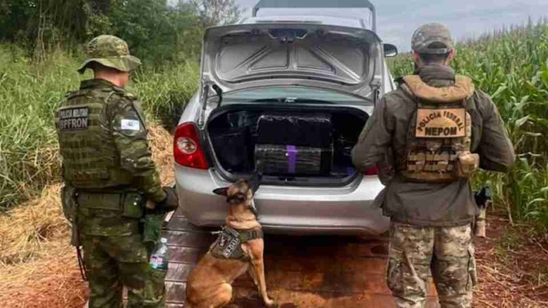 Guaíra – Operação conjunta apreende 300 quilos de maconha