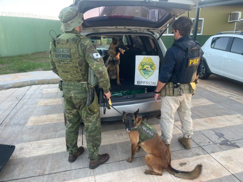 Guaíra – BPFron e PRF apreendem mais de 105 quilos de maconha em fundo falso de veículo