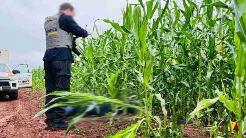 Segurança – Homem é executado a tiros em milharal de Santa Terezinha de Itaipu