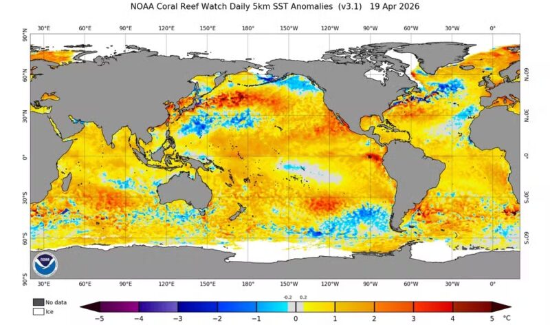 Clima – Parte do Pacífico já registra anomalia de El Niño, mas fenômeno ainda não está oficialmente declarado