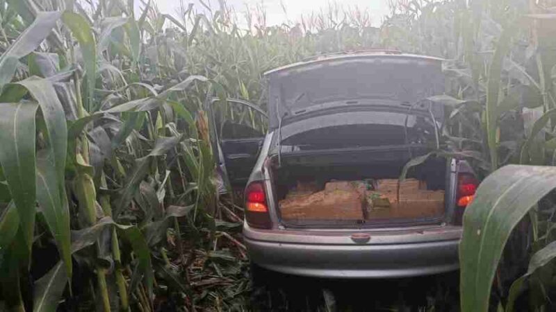 Assis – Quase 280 quilos de maconha são apreendidos após fuga de motorista