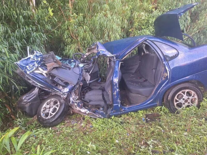 SC – Mãe e dois filhos morrem após batida frontal entre carro com 6 ocupantes e caminhão