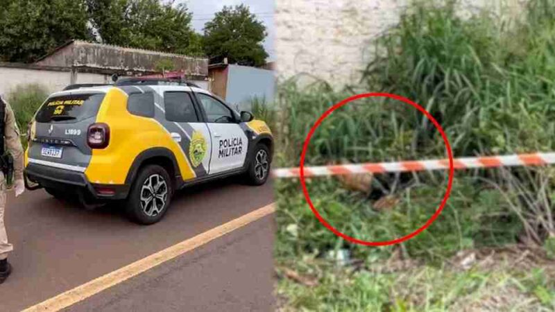 Cascavel – Homem é encontrado decapitado na marginal da BR 277, em Cascavel
