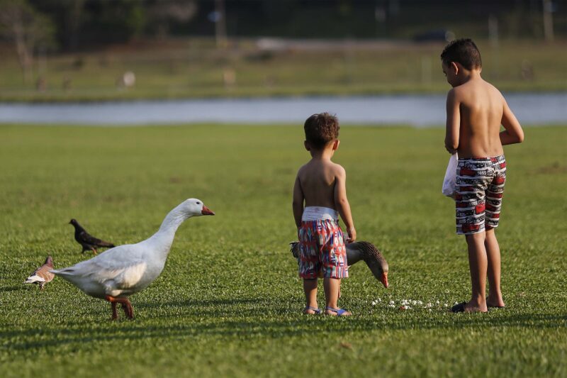 Clima – Simepar prevê temperaturas altas no fim de semana, com chuva no domingo