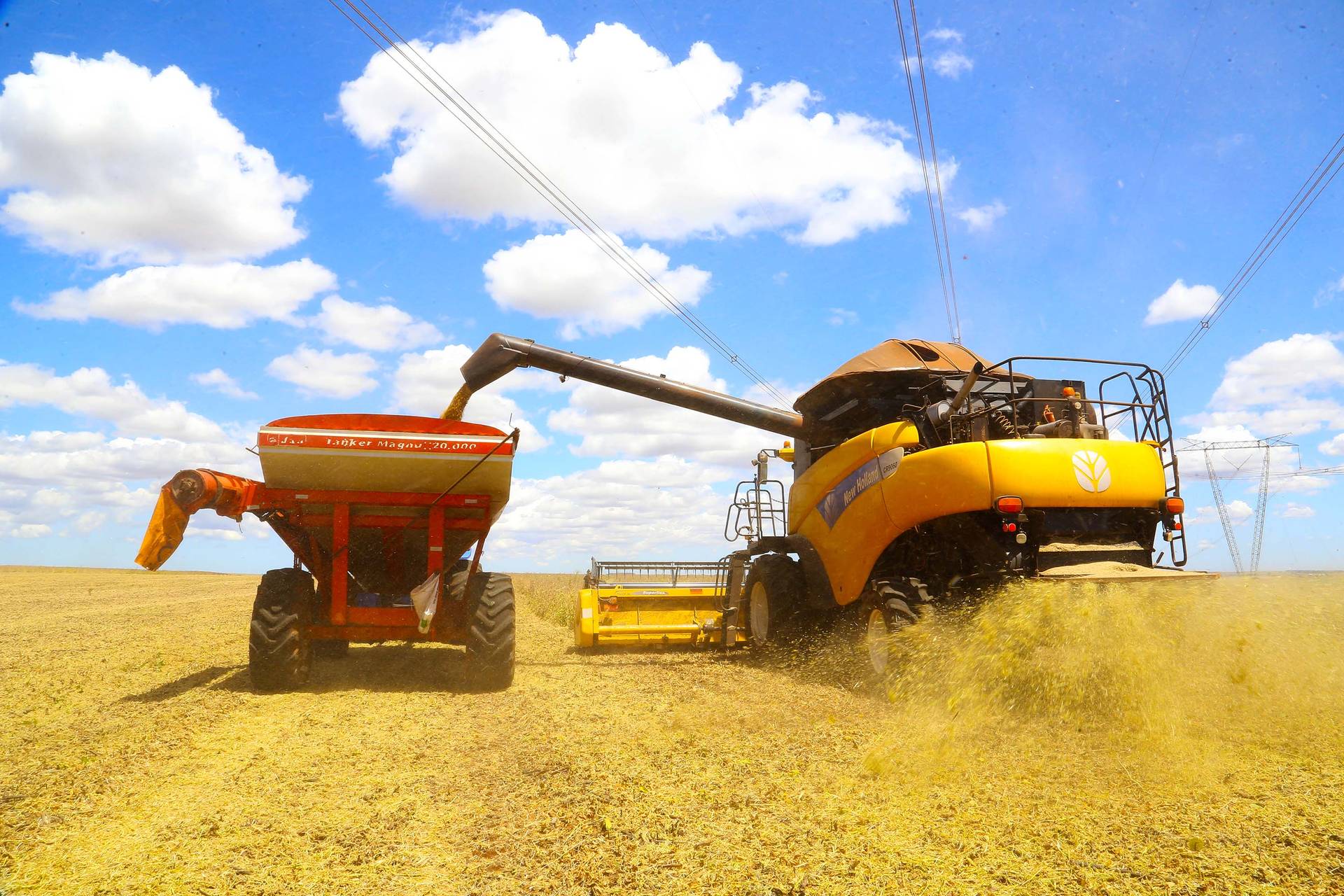 Agro – Valor da produção agrícola brasileira recua 3,9% em 2024, mostra IBGE