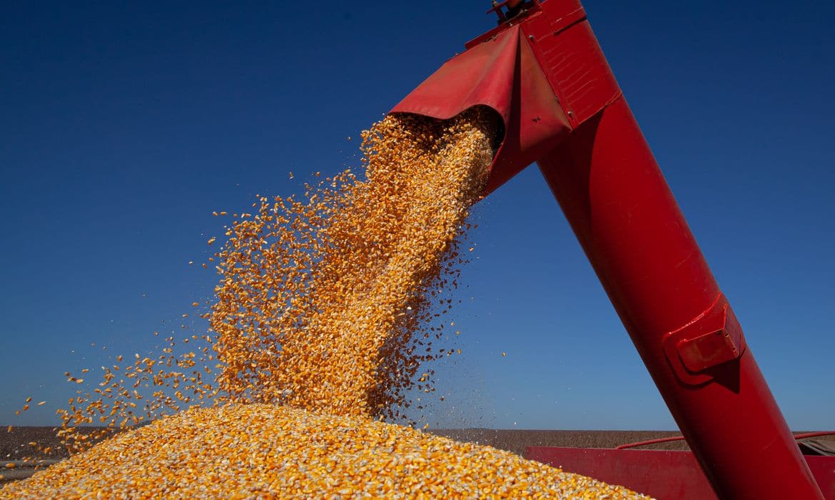 Economia – Produção de grãos deve crescer 14% e chegar a 340 milhões de toneladas