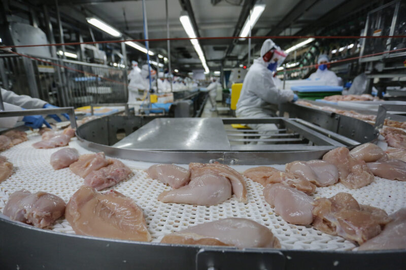 Gripe aviária: 16 países suspendem restrição  carne brasileira