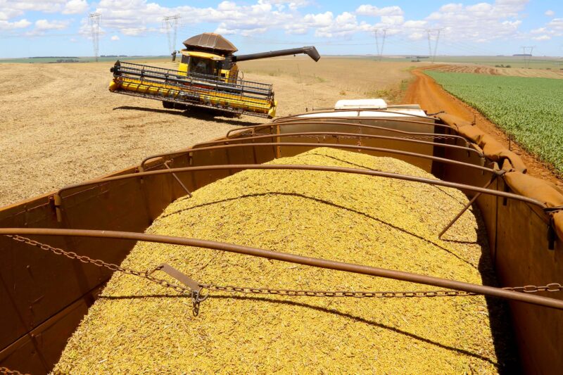 Agro – Vazio sanitário da soja passa a valer em todo o Paraná a partir deste sábado