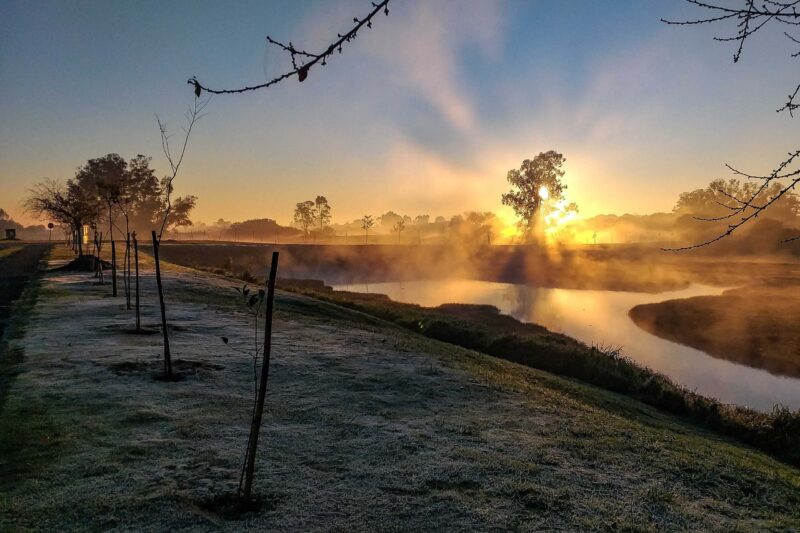 Clima – Inverno começa nesta sexta-feira e terá temperaturas mais baixas que em 2024