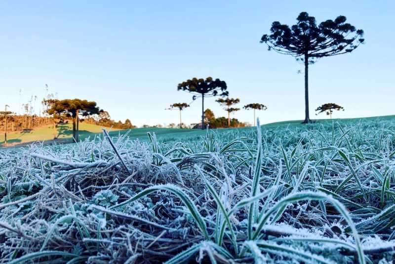 Clima – IDR-Paraná e Simepar iniciam serviço Alerta Geada na segunda-feira
