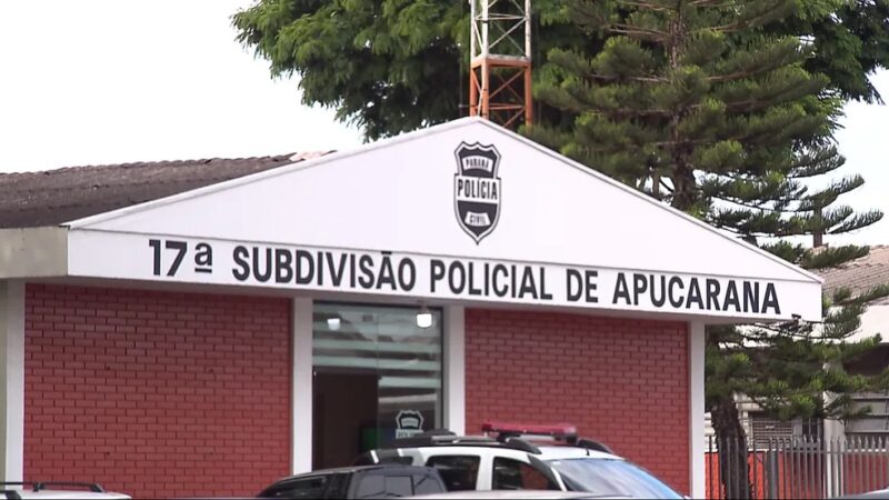 Segurança – Irritado com barulho, homem mata filhote de gato e é preso depois de ser denunciado pelo próprio filho no Paraná