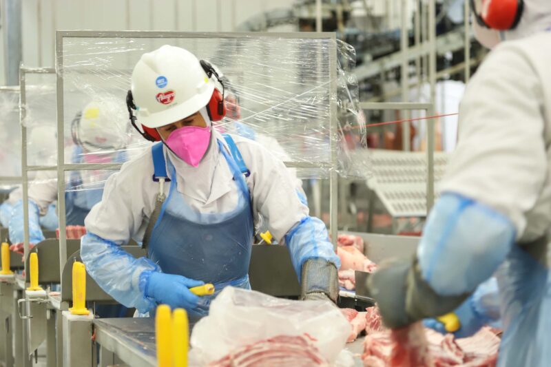 Carne suína, de frango e automóveis: exportações do Paraná saltam em 2025
