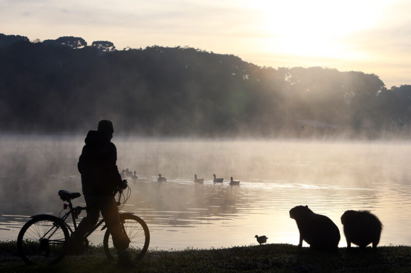 Clima – Primeira onda de frio do ano prevê termômetros a 8ºC no Paraná