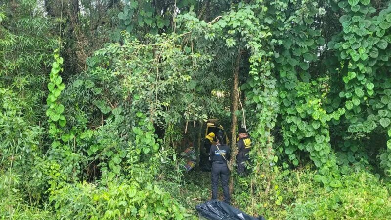 Paraná – Caminhoneiro morre após cair em ribanceira na margem da BR-277