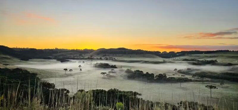 Clima – SC tem frio de 2,5ºC e geada antes do fim do verão