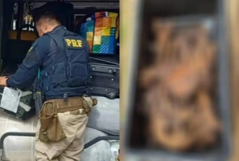 DF – Ossada humana e cinzas são encontradas em ônibus de viagem