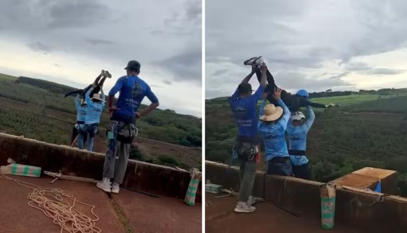 SP – Mulher morre após ser jogada sem cordas durante salto de rope jump